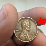 Lincoln Wheat Penny